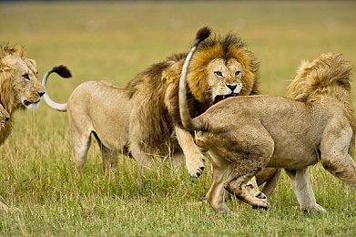 《死亡搁浅2》PSN用户评分4.93分 目前PSN上最高