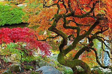 《暗黑2》神级Mod新版8月27日推出 新怪新系统等