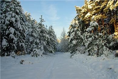 《天国：拯救2》第3个剧情DLC预告 11月12日上线