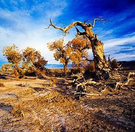 银河恶魔城类游戏《离火长明2》登陆PC和NS 明年推出